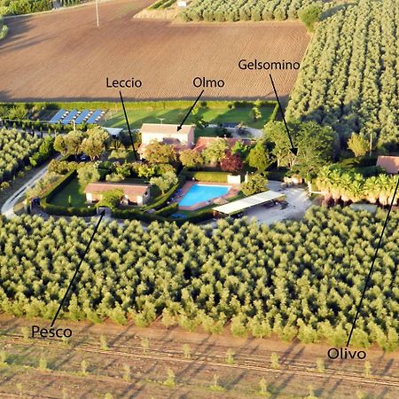 Podere Campi Al Mare Donoratico Exterior photo